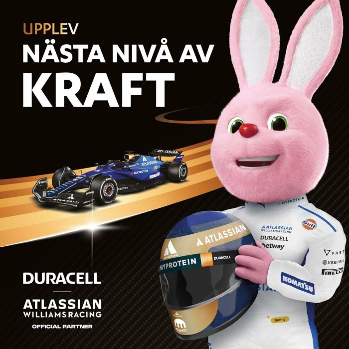 Pilas Recargables DURACELL DPBLR3B12 1,5 V AAA 4