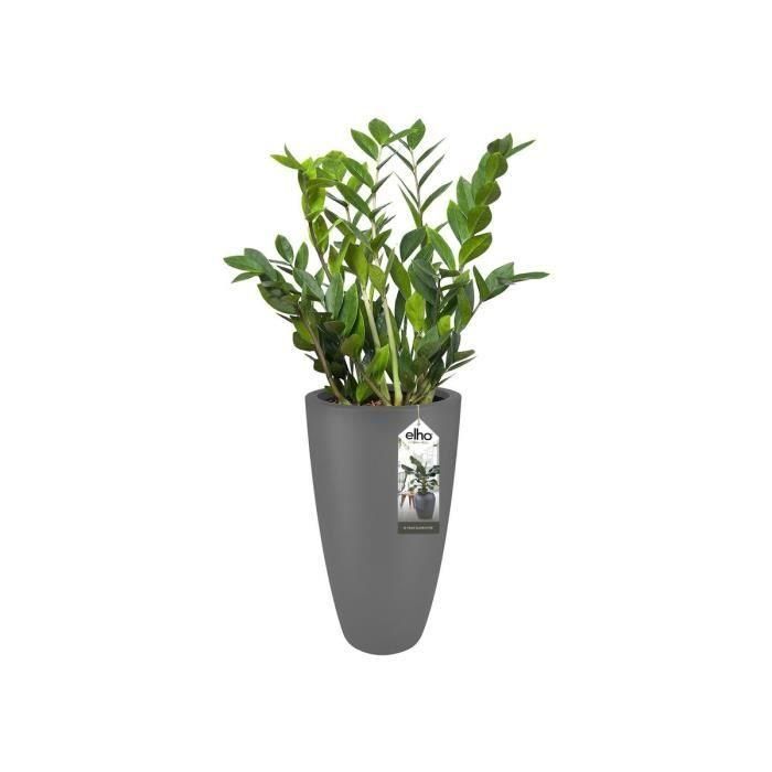 Elho Maceta Pure Soft Round High 30 Antracita, Uso Interior y Exterior, Ø 29,5 x H 52,5 cm 1 Elho Maceta Pure Soft Round High 30 Antracita, Uso Interior y Exterior, Ø 29,5 x H 52,5 cm 1