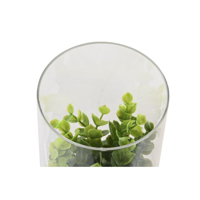 DKD Home Decor Planta Natural Marron Oscuro 12 x 18 x 12 cm (4 Unidades) 1 DKD Home Decor Planta Natural Marron Oscuro 12 x 18 x 12 cm (4 Unidades) 1