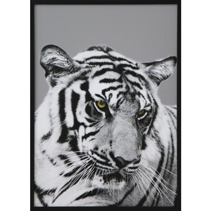 DKD Home Decor Cuadro Colonial Multicolor Negro Cristal y PS 67 x 3 x 93 cm (3 Unidades) 2