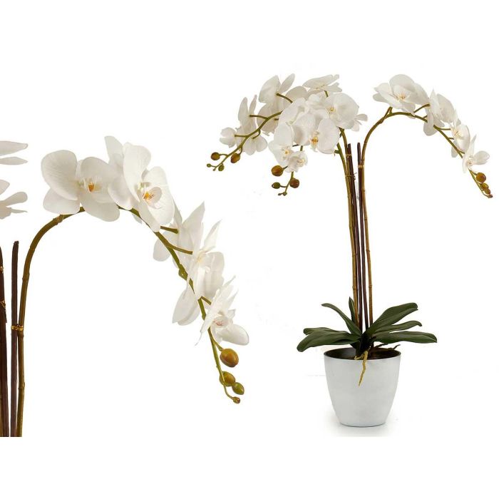 Orquidea Blanca Maceta Conic Blanca Jumb Ibergarden 40X78CM (2 Unidades) Orquidea Blanca Maceta Conic Blanca Jumb Ibergarden 40X78CM (2 Unidades)