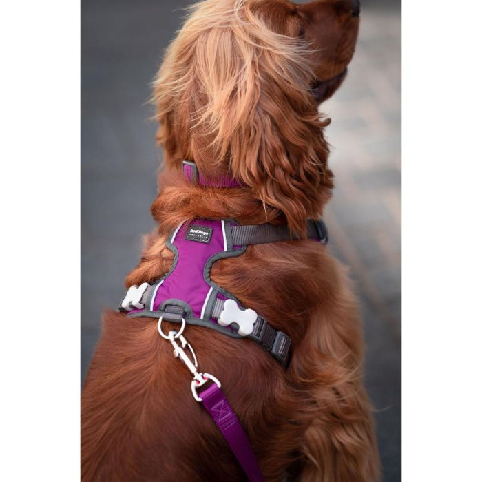 Arnés para Perro Red Dingo Dingo 62-108 cm 72-112 cm Morado XL 2 Arnés para Perro Red Dingo Dingo 62-108 cm 72-112 cm Morado XL 2