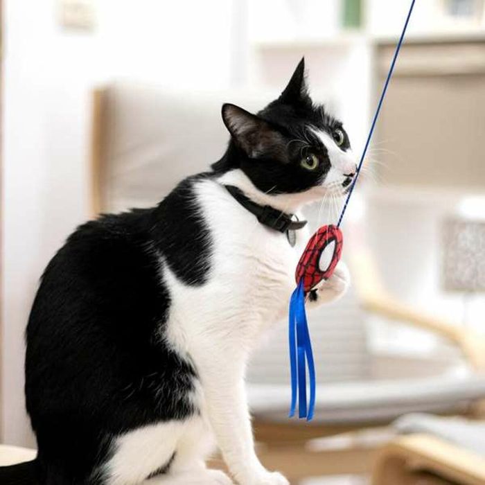 Varita para gato spiderman 3.0 x 7.0 x 46.0 cm 4 Varita para gato spiderman 3.0 x 7.0 x 46.0 cm 4