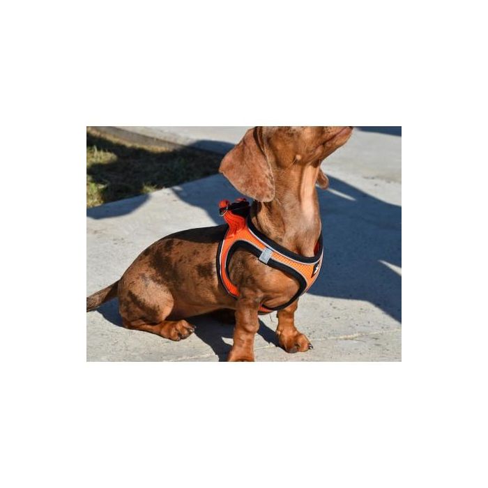Arnés X-Trm Neo Naranja XXS 30-35 cm 2 Arnés X-Trm Neo Naranja XXS 30-35 cm 2
