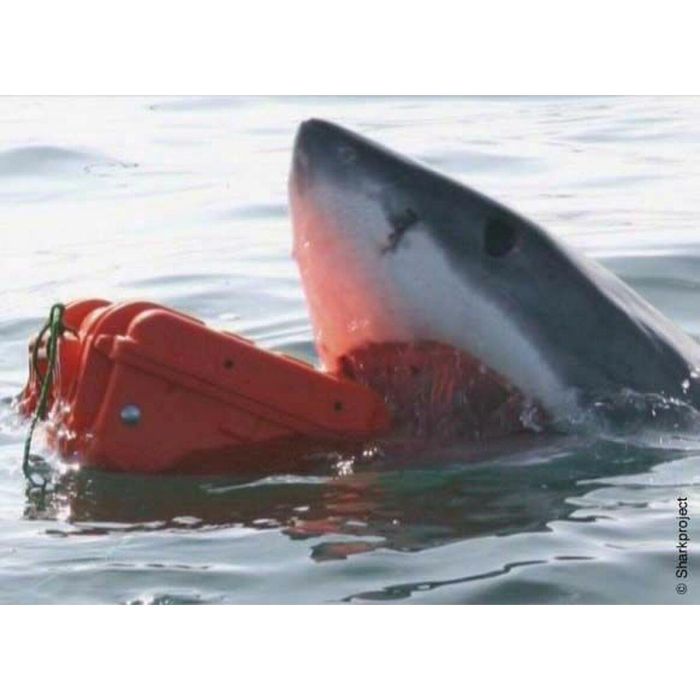 Maletín de Herramientas GT Line EXPLORER 3818 41 x 34 x 20,5 cm Metal Polipropileno 2