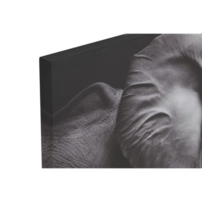 Lienzo Home ESPRIT Lienzo 120 x 3 x 80 cm 3