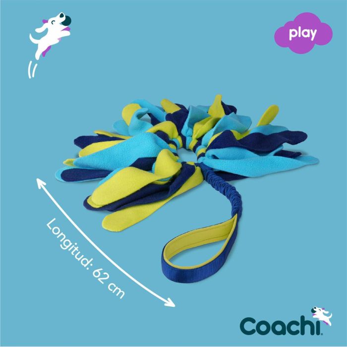 Coachi Tuggi Spider Azul-Lima-Azul Claro 1 Coachi Tuggi Spider Azul-Lima-Azul Claro 1