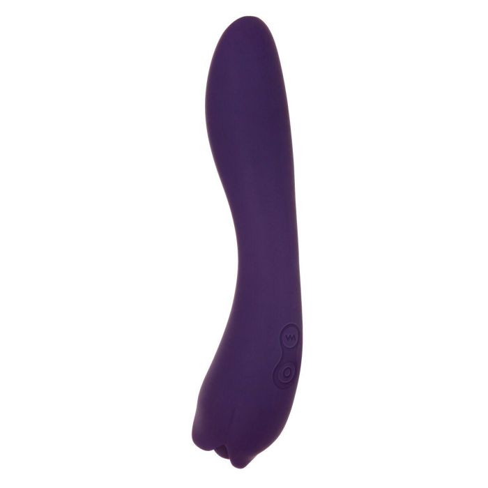 Vibrador Evolved Morado 6 Vibrador Evolved Morado 6