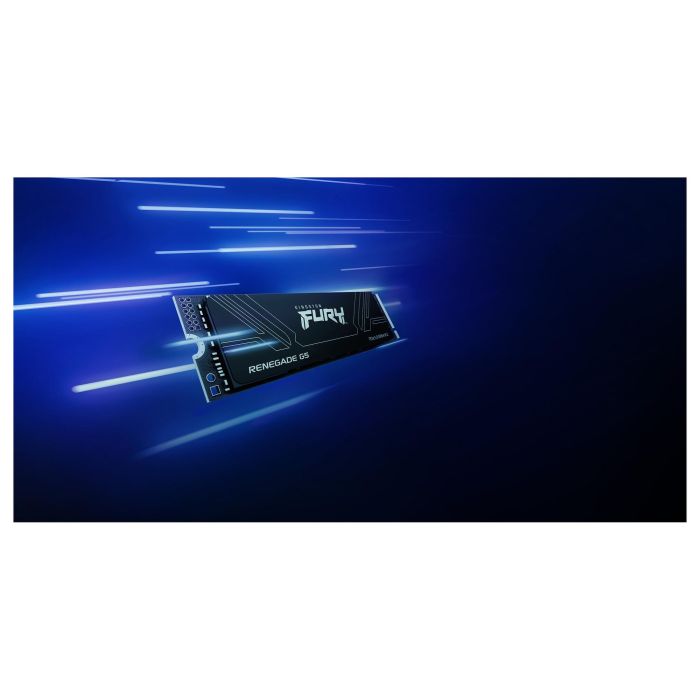 Kingston Technology FURY RENEGADE G5 M.2 2280 NVMe SSD 1TB PCIe 5.0 2