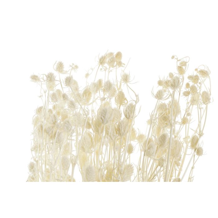 DKD Home Decor Ramo de Flor Seca Pristimera Crema, 12 Unidades, 15x65x15 cm. Pack de Bouquets Decorativos para Centro de Mesa o Jarrones de Hogar. 1 DKD Home Decor Ramo de Flor Seca Pristimera Crema, 12 Unidades, 15x65x15 cm. Pack de Bouquets Decorativos para Centro de Mesa o Jarrones de Hogar. 1