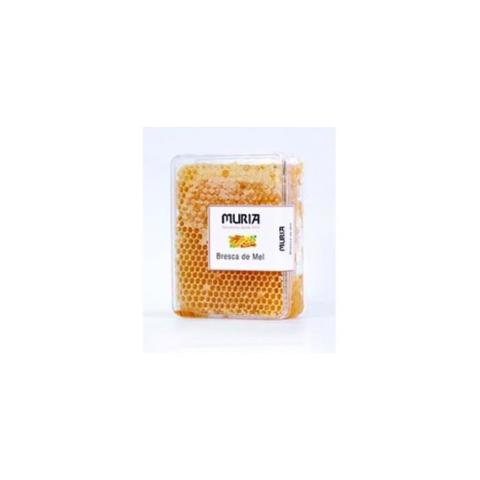 Panal De Miel De Flores 450Gr.