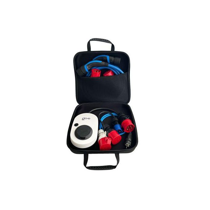 go-e Case 4 go-e Case 4