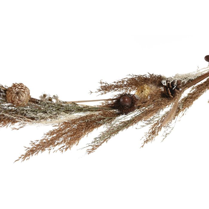 DKD Home Decor Ramo de Navidad Alpina de Flor Seca Marrón 110 cm de Alto para Colgar - Pack de 6 Unidades 1