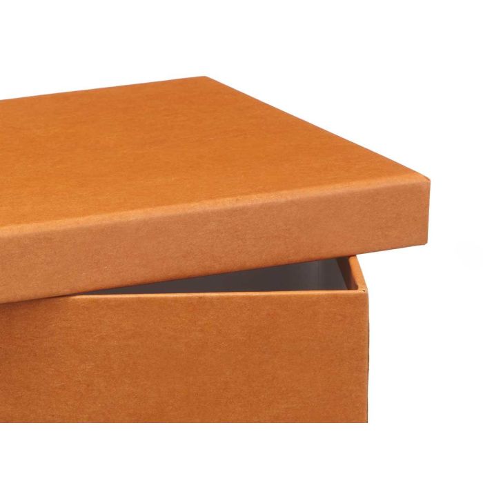 Caja Carton Surtidos Col Neutro Grd Pincello 25X10CM (12 Unidades) 2 Caja Carton Surtidos Col Neutro Grd Pincello 25X10CM (12 Unidades) 2