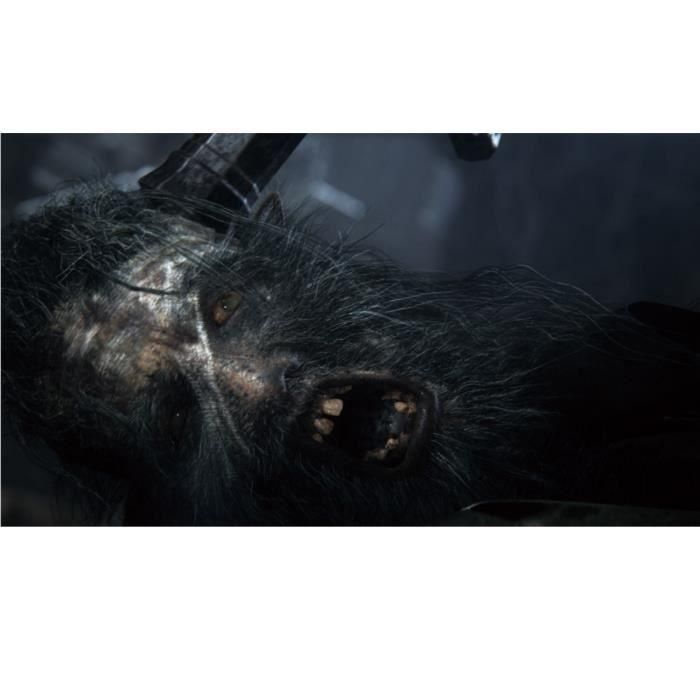 Bloodborne PlayStation llega al juego de PS4 2 Bloodborne PlayStation llega al juego de PS4 2