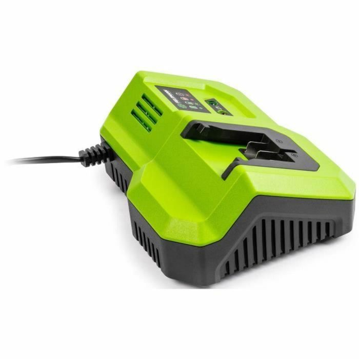 Fieldmann FIE8590669362721 Cargador rápido para batería de 20V, carga 2Ah en 30 min, compatible con 2Ah, 4Ah, 8Ah 4 Fieldmann FIE8590669362721 Cargador rápido para batería de 20V, carga 2Ah en 30 min, compatible con 2Ah, 4Ah, 8Ah 4