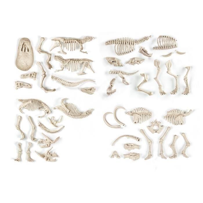 Clementoni Archéo Ludic: Excavación de Fósiles de Dinosaurios (T-Rex, Triceratops) y Mamut - Kit de Ciencia y Juego Paleontológico 4 Clementoni Archéo Ludic: Excavación de Fósiles de Dinosaurios (T-Rex, Triceratops) y Mamut - Kit de Ciencia y Juego Paleontológico 4