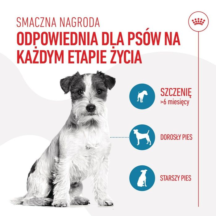 Snack para Perros Royal Canin Training Treats 110 g 3 Snack para Perros Royal Canin Training Treats 110 g 3
