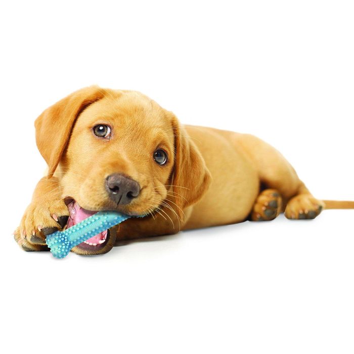 Nylabone Hueso Dental Suave para Cachorros XS (hasta 7kg) Azul Sabor Pollo - Ayuda a Limpiar Dientes, No para Masticadores Fuertes 1 Nylabone Hueso Dental Suave para Cachorros XS (hasta 7kg) Azul Sabor Pollo - Ayuda a Limpiar Dientes, No para Masticadores Fuertes 1