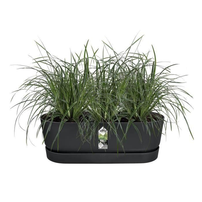 ELHO - Maceta - Greenville Easy Balcony 52 - Living Black - Balcón - L 21,2 x W 52 x H 19,4 cm 2 ELHO - Maceta - Greenville Easy Balcony 52 - Living Black - Balcón - L 21,2 x W 52 x H 19,4 cm 2