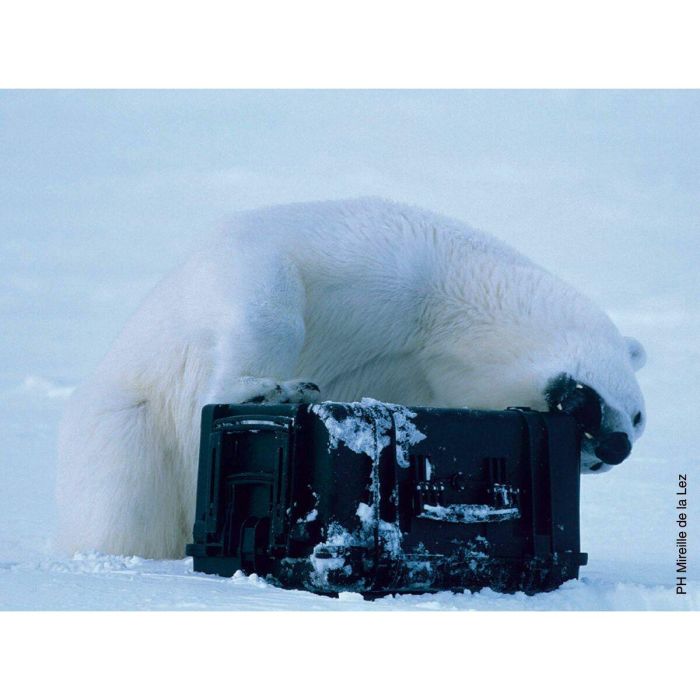 Maletín de Herramientas GT Line EXPLORER 3818 41 x 34 x 20,5 cm Metal Polipropileno 3