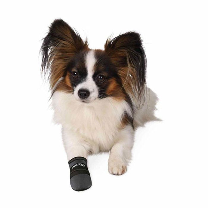 Botas Trixie Walker Care Negro M 1 Botas Trixie Walker Care Negro M 1