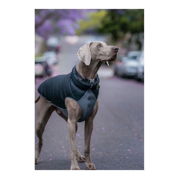 Abrigo Reversible Rd Puffer Jacket Negro-Gris 25 cm 2 Abrigo Reversible Rd Puffer Jacket Negro-Gris 25 cm 2