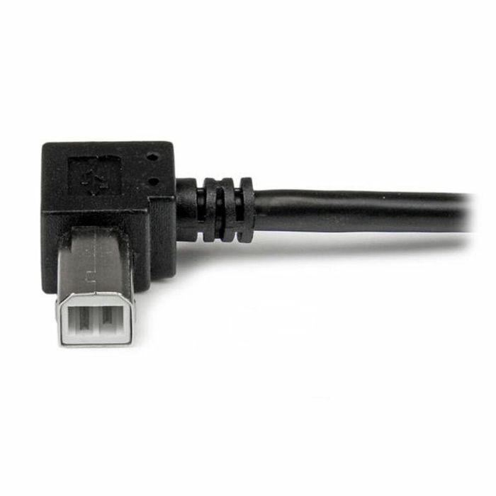 Cable USB A a USB B Startech USBAB2MR Negro 2