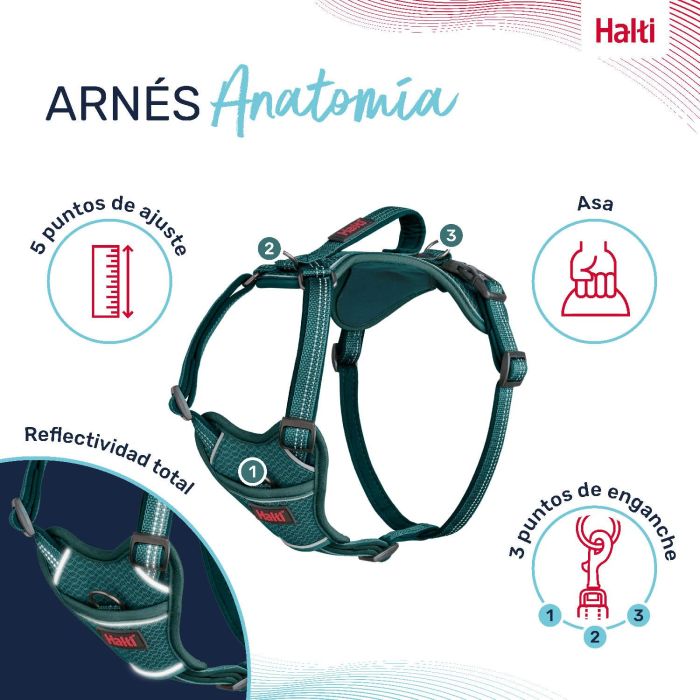 Halti Arnés Perro Anatomy Turquesa XL - Ajustable, Reflectante, Acolchado Neopreno - Cuerpo 78-115 cm, Cuello 50-78 cm 0 Halti Arnés Perro Anatomy Turquesa XL - Ajustable, Reflectante, Acolchado Neopreno - Cuerpo 78-115 cm, Cuello 50-78 cm 0