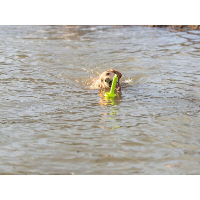 Mordedor de perro Trixie 29 cm 15