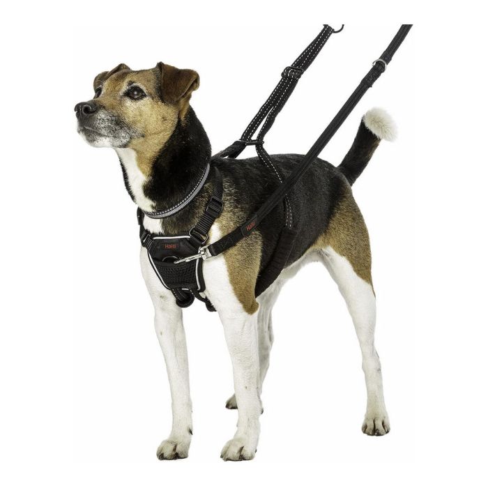 Company Of Animals Halti Arnés Antitirones No Pull Harness Negro Talla S Cuello 22-36cm