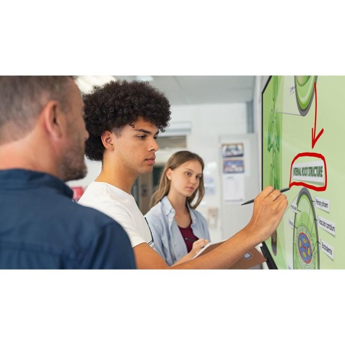 Optoma 3752RK Display Digital Señalización Táctil 75 Pulgadas 4K Ultra HD 13