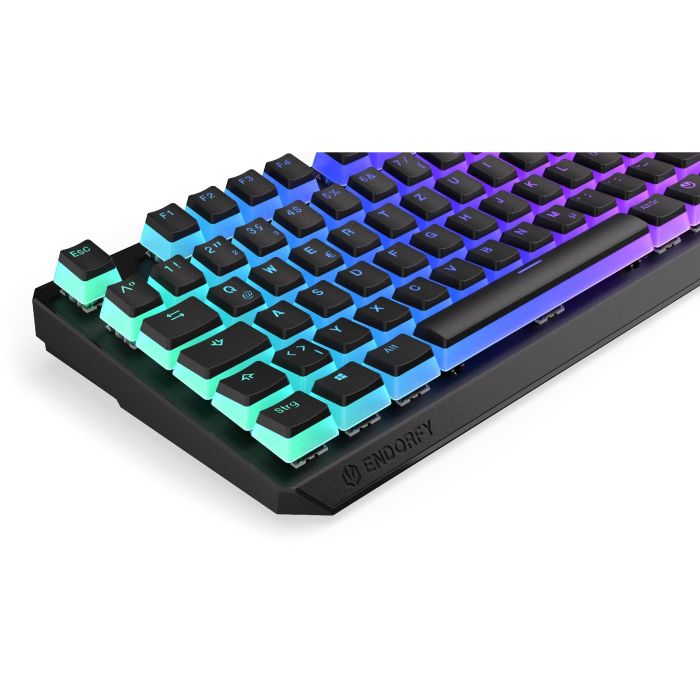 ENDORFY Thock TKL Wireless Pudding (schwarz. DE-Layout. Kailh Box Red) 13