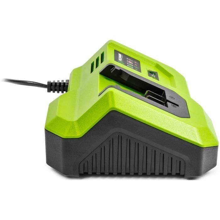 Cargador rápido - FIELDMANN - Para batería de 20 V - Carga 2 Ah en 30 min - Compatible con 2 Ah, 4 Ah, 8 Ah Cargador rápido - FIELDMANN - Para batería de 20 V - Carga 2 Ah en 30 min - Compatible con 2 Ah, 4 Ah, 8 Ah