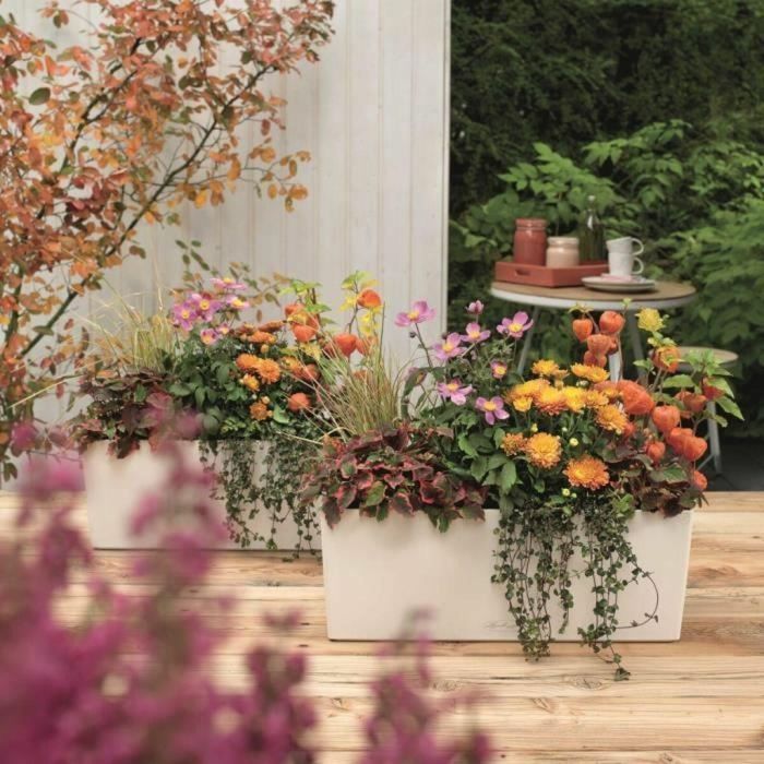 Maceta Lechuza Blanco Negro Polipropileno 1 Maceta Lechuza Blanco Negro Polipropileno 1