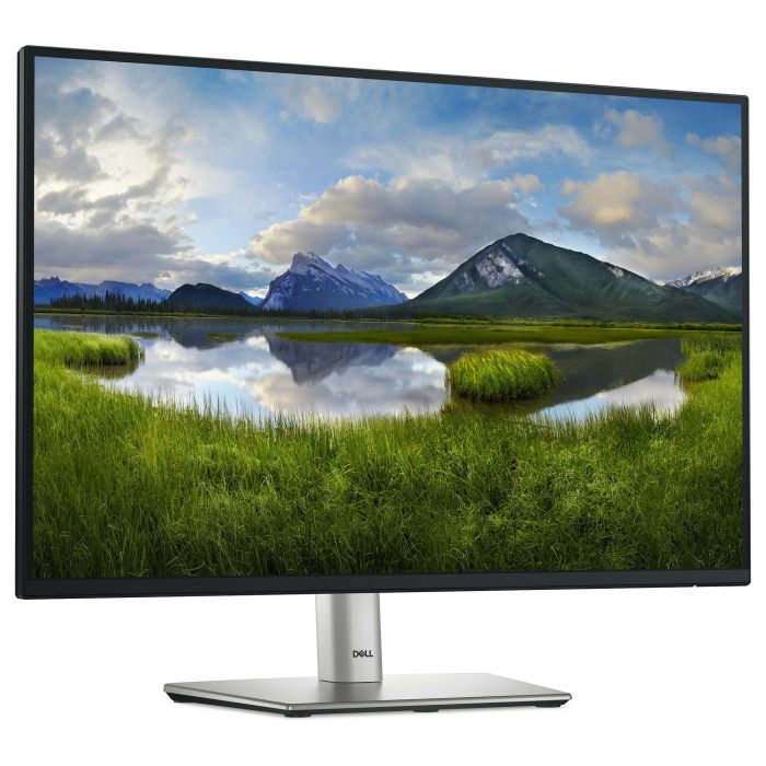 Dell Monitor P2425 24 Pulgadas WUXGA 100Hz IPS, Panel Antirreflejos, Flicker Free, Luz Azul Baja, Ajuste Altura, HDMI, DisplayPort, USB-C 3