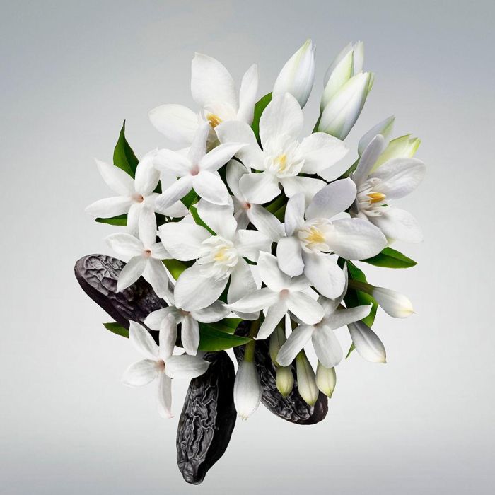 Carolina Herrera GOOD GIRL Crema Corporal Hidratante 200 ml 1