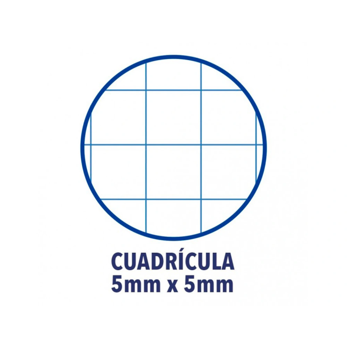 Oxford Recambio Color 1 Din A4+ 80 Hojas 90 gr Cuadro 5 mm 4 Taladros Azul Oscuro 3