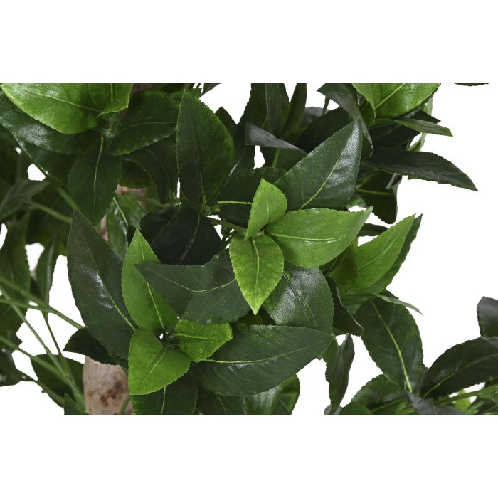 Arbol Tropical DKD Home Decor Verde Marron 50 x 150 x 50 cm (2 Unidades) 1 Arbol Tropical DKD Home Decor Verde Marron 50 x 150 x 50 cm (2 Unidades) 1