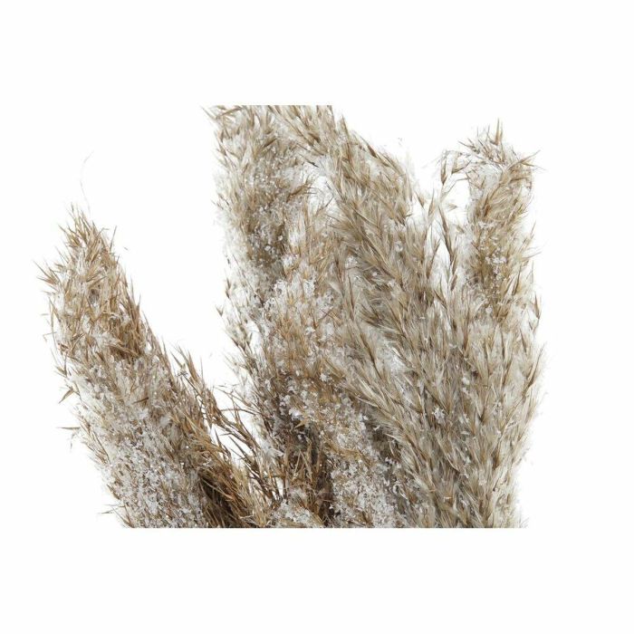 Planta Navidad Alpina DKD Home Decor Marron 25 x 55 x 35 cm (2 Unidades) 2