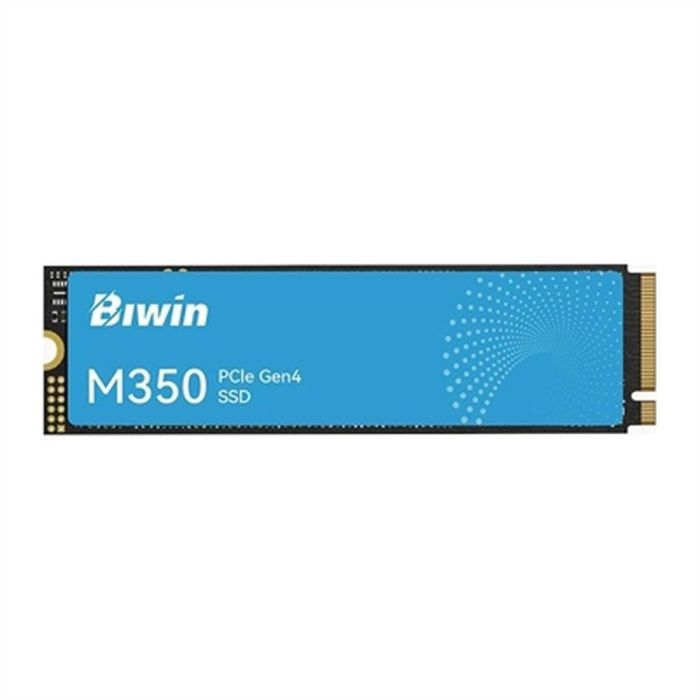 Disco Duro Biwin BM350NN500G-RGX 500 GB SSD