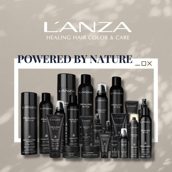 L'Anza Healing Style Design Foam 2