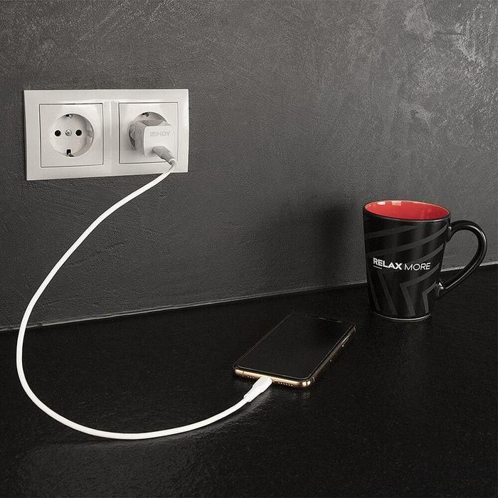 Lindy 20W, USB-C, Power Delivery 3.0, 100-240VAC, 50/60Hz, 0.6A 3