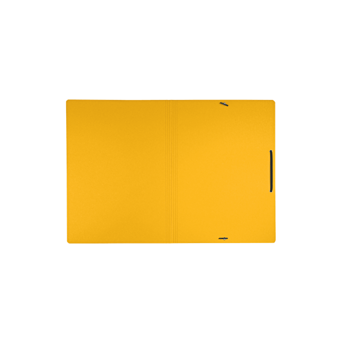 Leitz 39080015 Carpeta de Cartón con Gomas A4 Recycle Amarillo 100% Certificación Climate Neutral Blue Angel 3