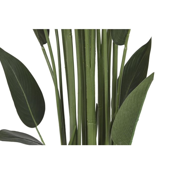 DKD Home Decor Planta Tropical Ave de Paraiso Verde 80 x 180 x 80 cm (2 Unidades) 2 DKD Home Decor Planta Tropical Ave de Paraiso Verde 80 x 180 x 80 cm (2 Unidades) 2
