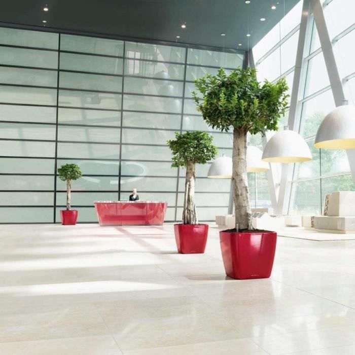 Lechuza LEC4008789162830 Maceta Quadro Premium LS 50, Antracita Metalizada, 50 x 50 x 46.5 cm, 53 L 1