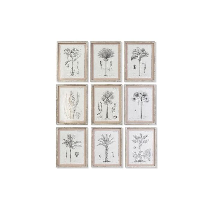 Cuadro Colonial DKD Home Decor Gris Beige 1.8 x 45 x 35 cm (9 Unidades)