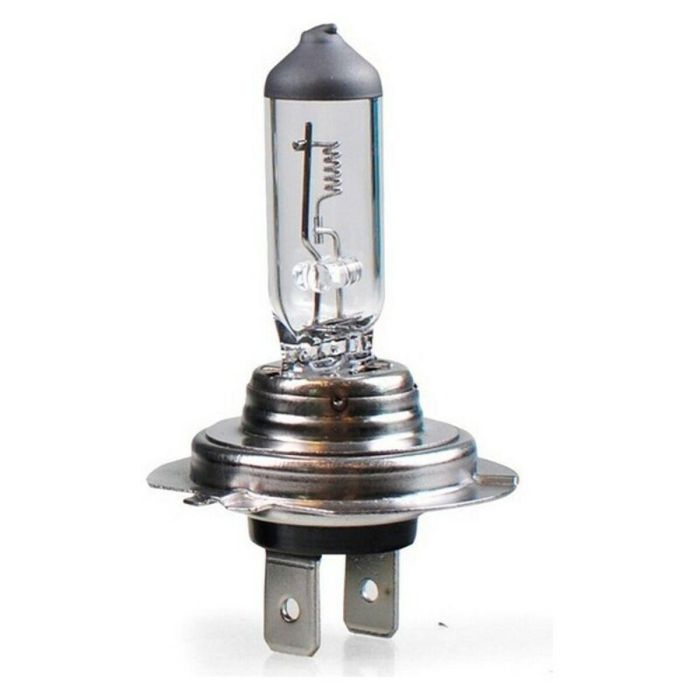 M-Tech Lámpara Halógena H4 P43T 24V 75/70W Blanca (10 Unidades) MTECZ904 1 M-Tech Lámpara Halógena H4 P43T 24V 75/70W Blanca (10 Unidades) MTECZ904 1