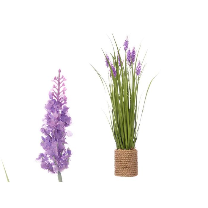 Ramillete Cuerda Lavanda Ibergarden 30X70CM (3 Unidades) Ramillete Cuerda Lavanda Ibergarden 30X70CM (3 Unidades)