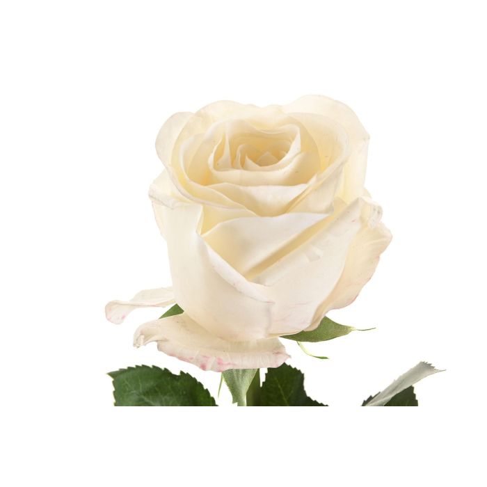 Flor  DKD Home Decor Blanco 9 x 67 x 9 cm (12 Unidades) 1